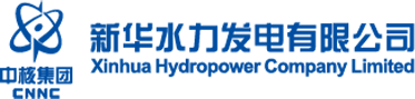 新华水电